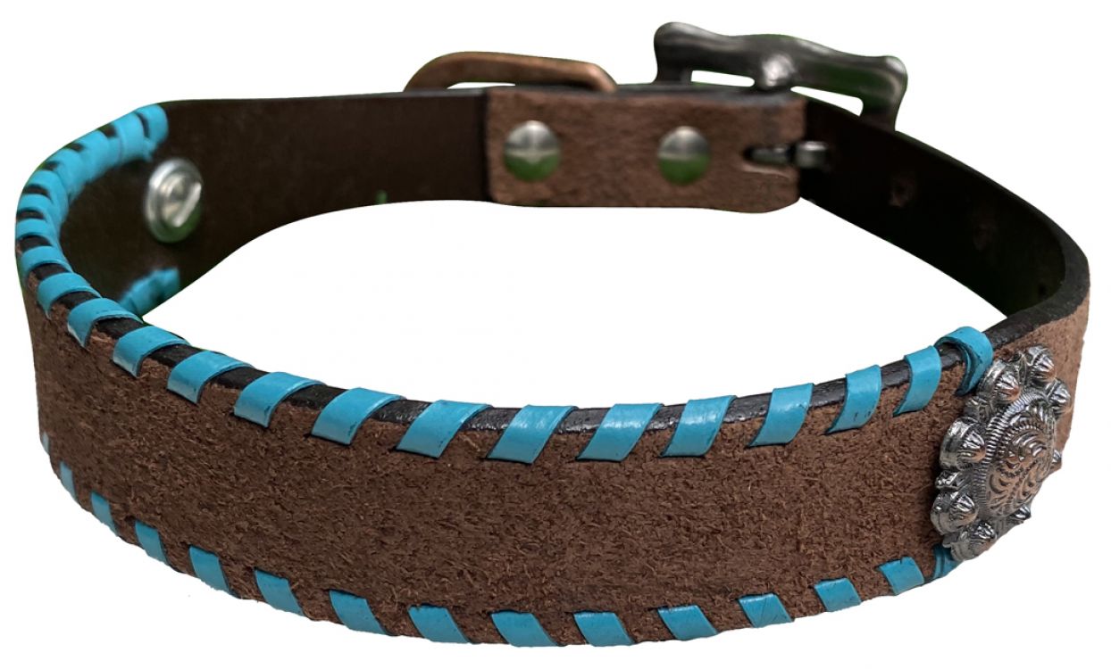178041bm - Genuine leather 1" dog collar rawhide lacing - MUDIUM