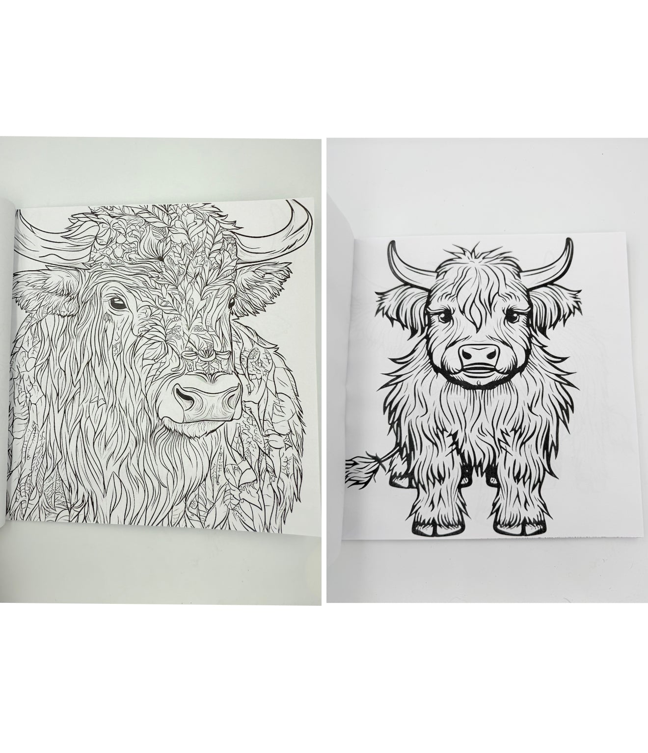 A8914 - Small Highland Cow Colouring in Book