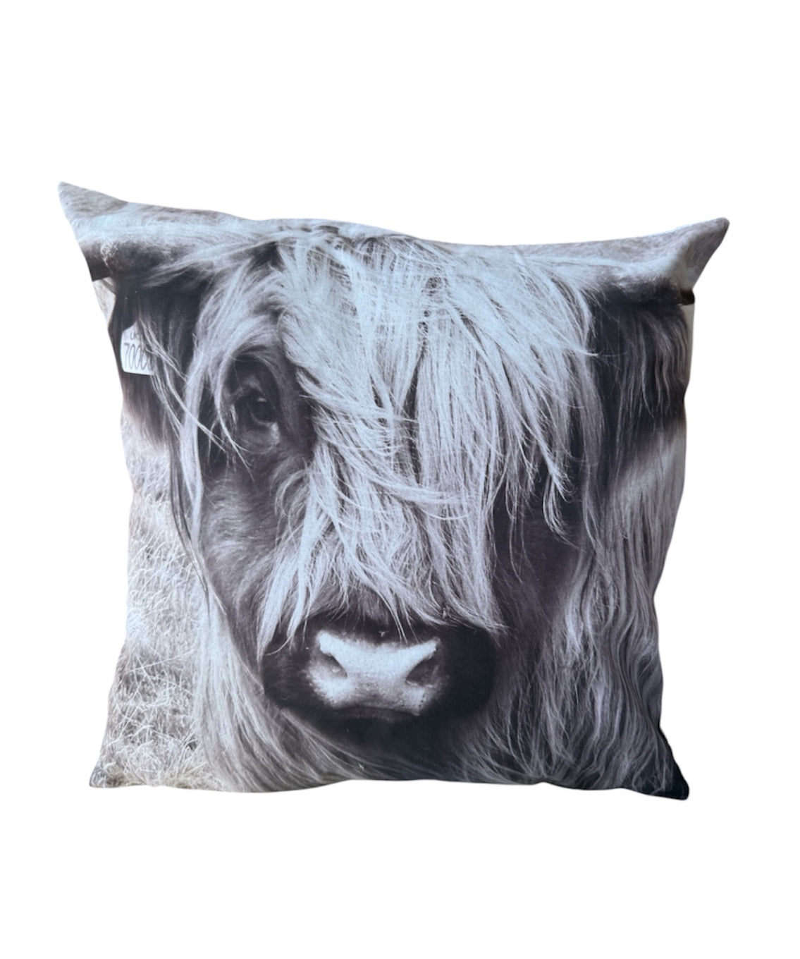 A8905R - Highland cow Print Cushion Cover - Rawhide Western Wear