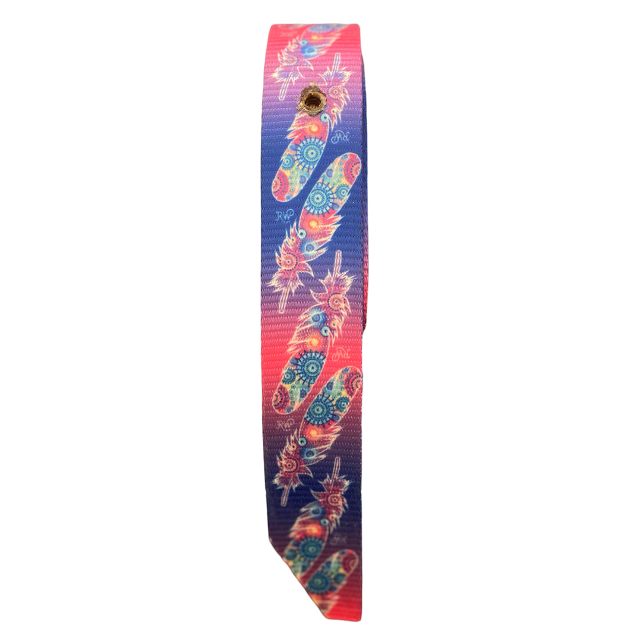 T5448 - Rawhide Bright Feather Latigo Set