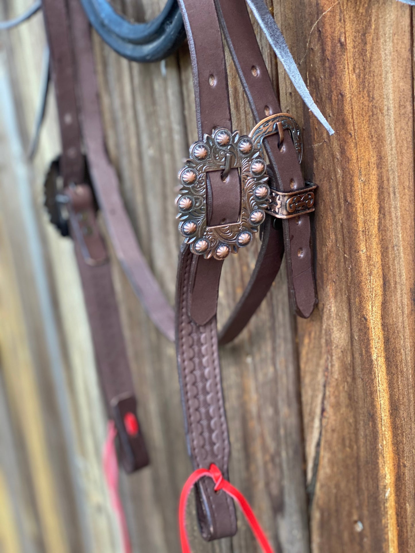 T5321 - Stamped Bridle