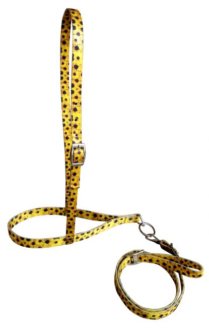 177682 - Nylon noseband and tiedown with Sunflower Print