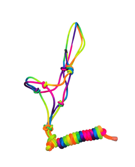 174477 - Multi Coloured Knot Rope Halter with Matching 8' Lead