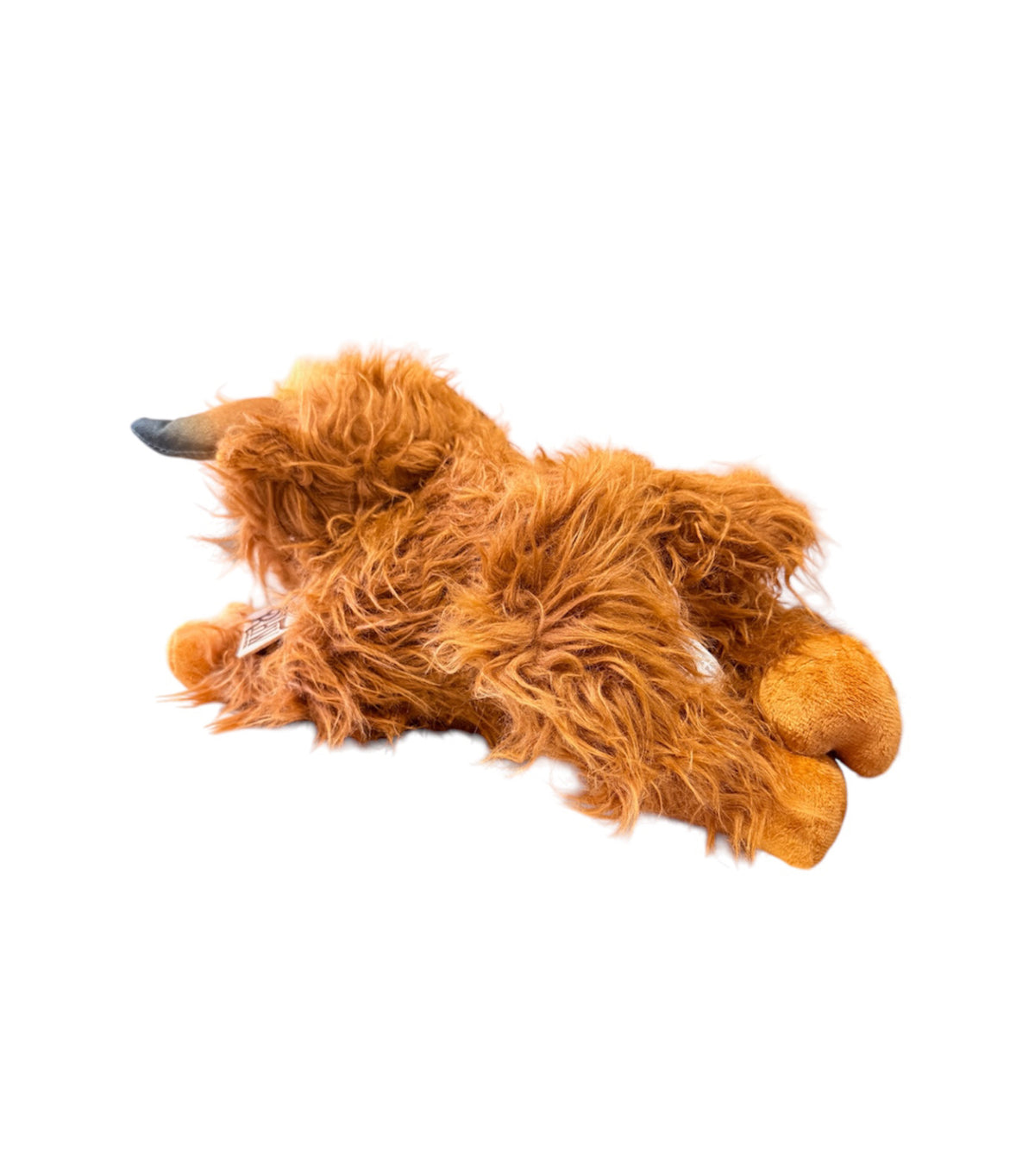 P4188 - Rawhide Highland Cow