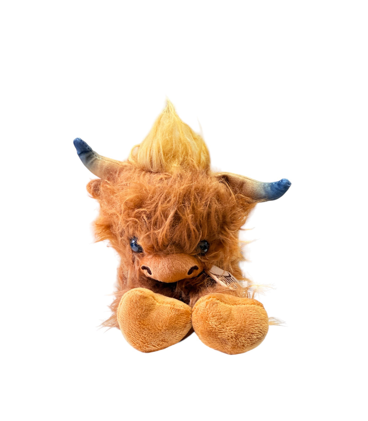 P4188 - Rawhide Highland Cow