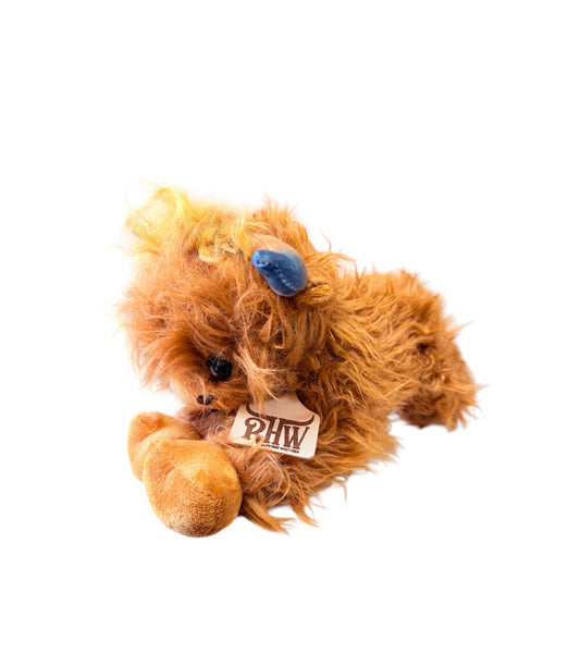 P4188 - Rawhide Highland Cow