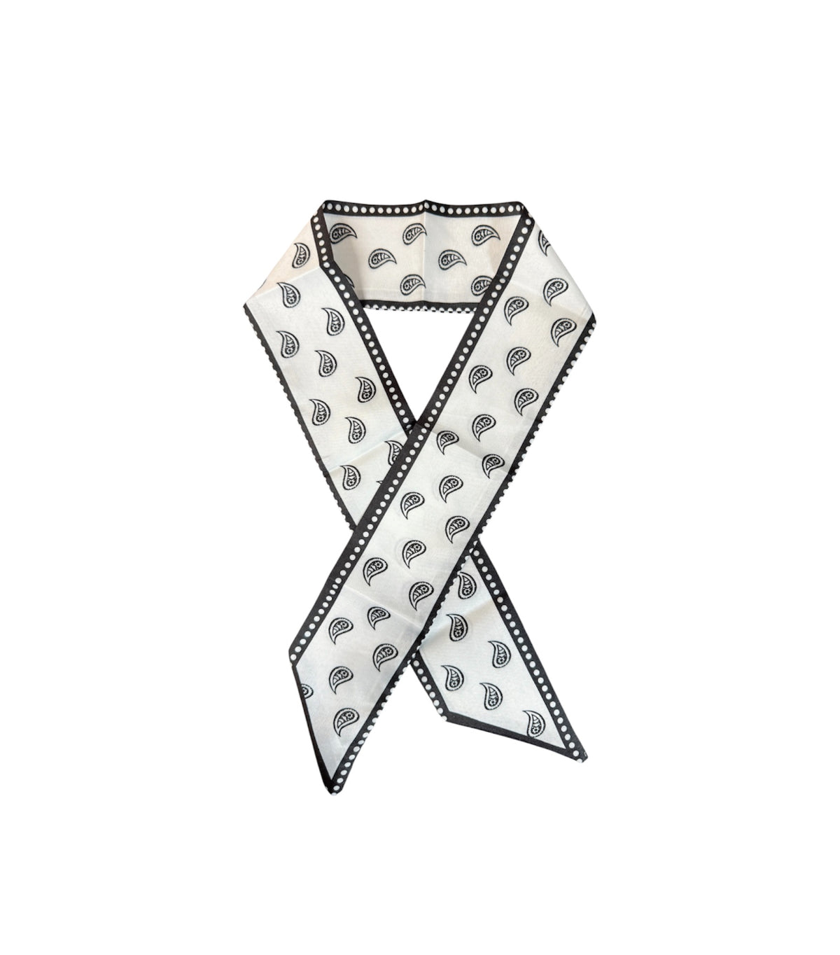 A9017 - Paisley Print Thin Neck Tie