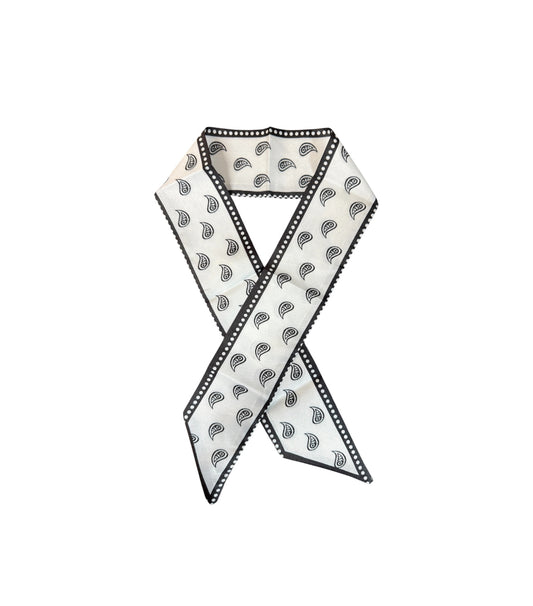 A9017 - Paisley Print Thin Neck Tie