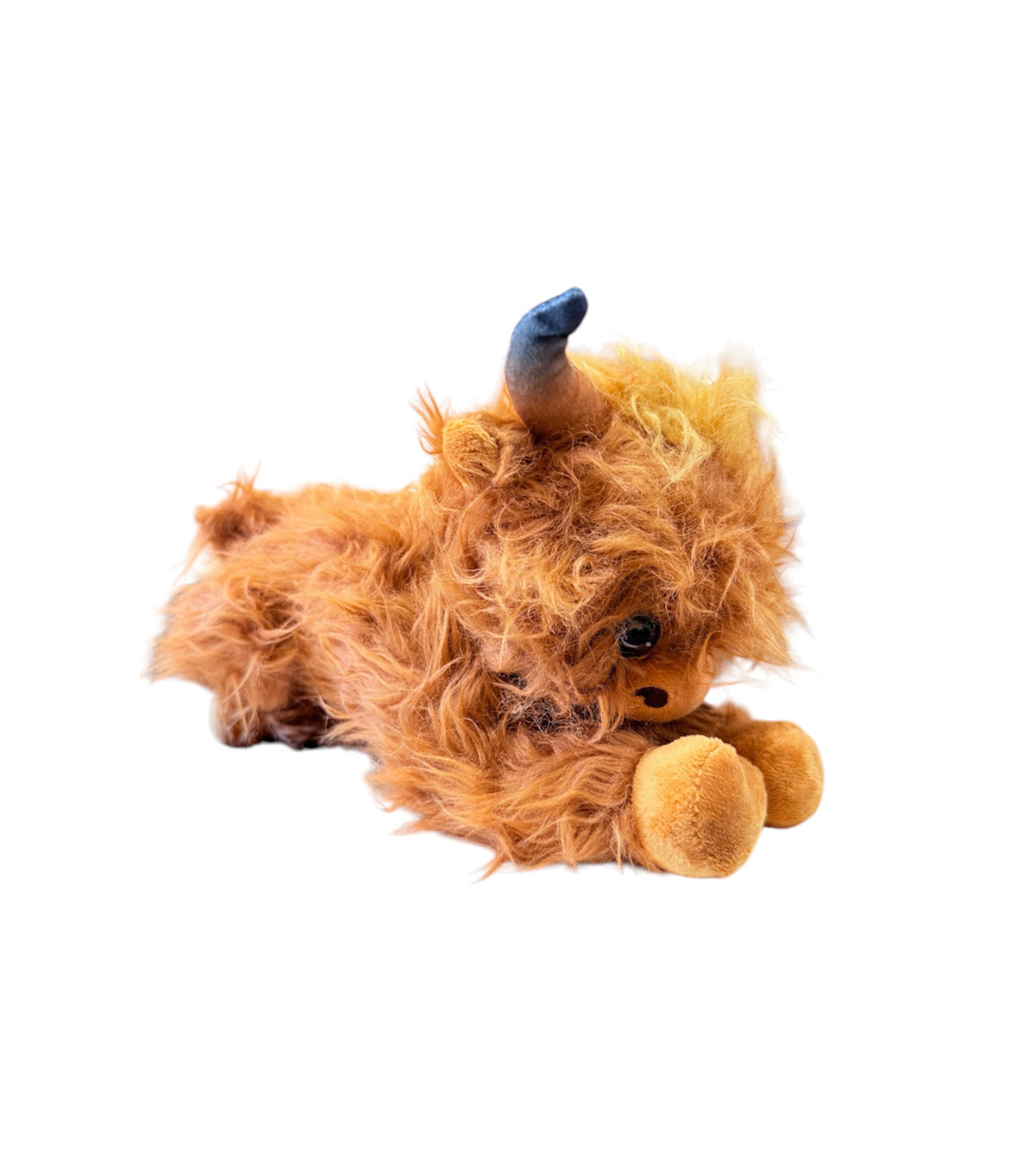 P4188 - Rawhide Highland Cow