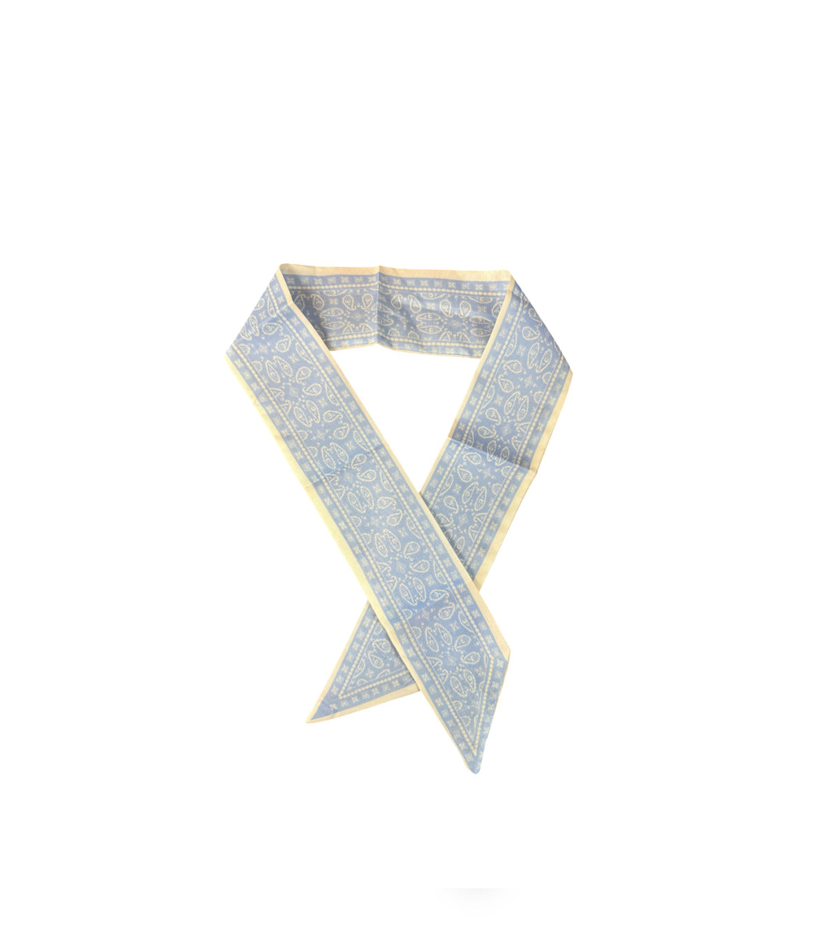 A8988 - Paisley Thin Neck Tie