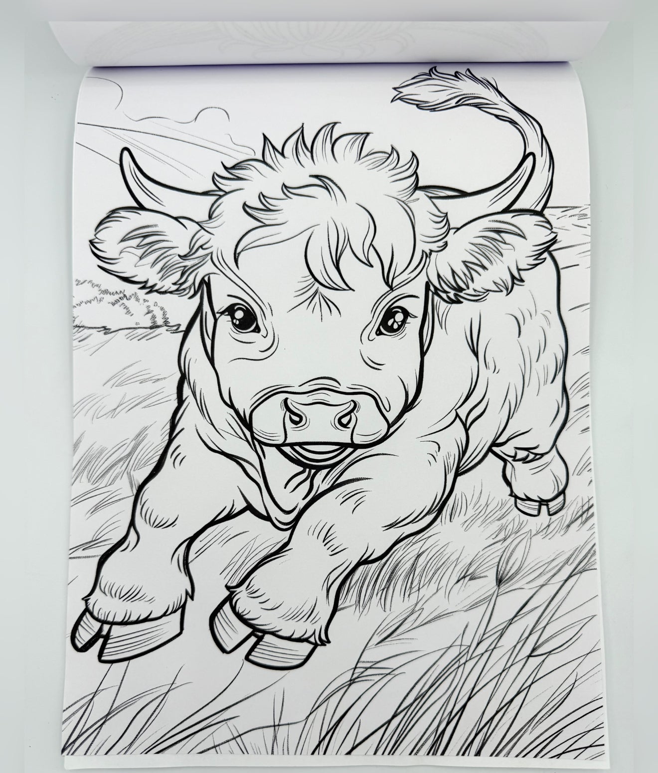 A8914L - Large Highland Cow Colouring in Book