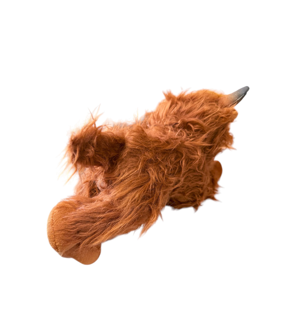 P4188 - Rawhide Highland Cow