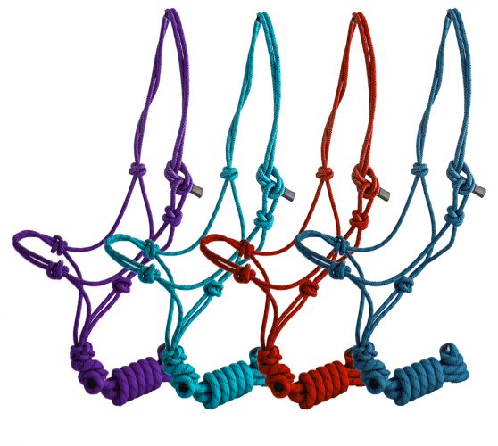 4319 - Knot Halter with Matching 8' Lead