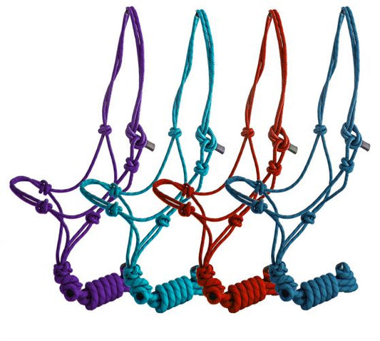 4319 - Knot Halter with Matching 8' Lead