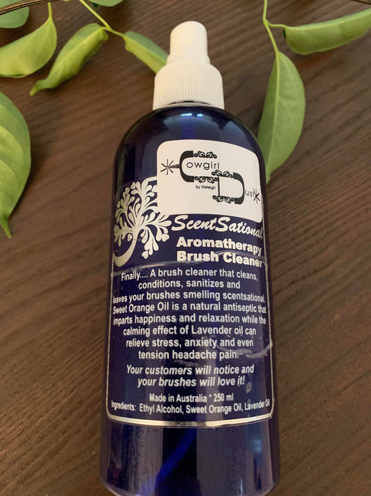 Aromatherapy Brush Cleaner - Rawhide Western Wear 