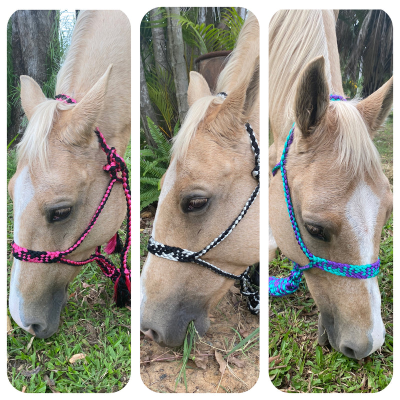 T5304 - Double Colour Mule Halter