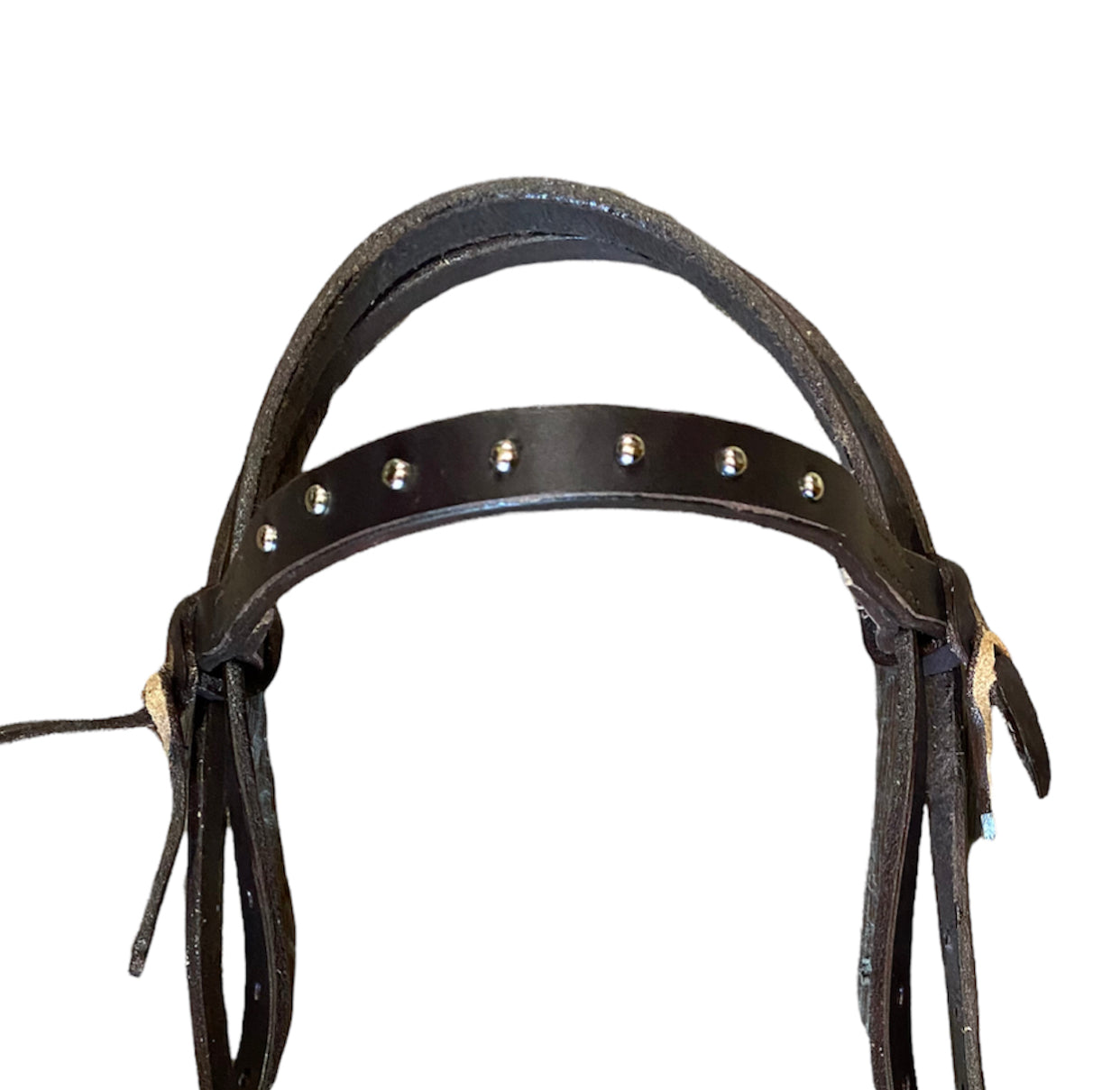 T5475  - Studded Leather Bridle