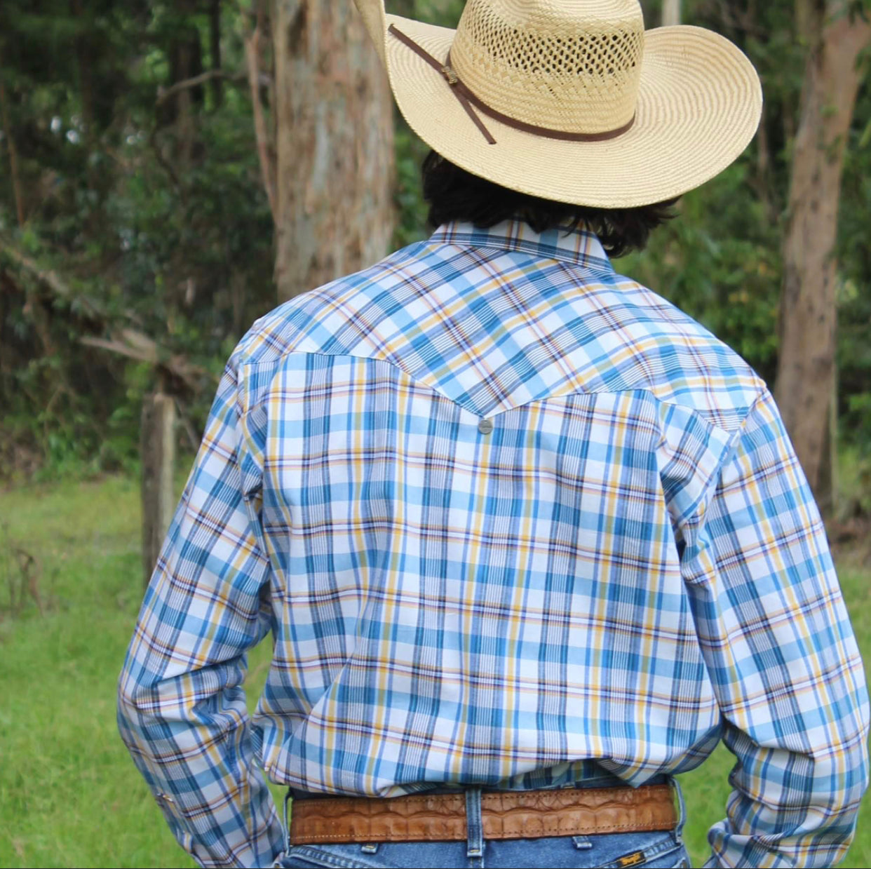 M3024 - Rawhide Western Mens Bert Western Shirt