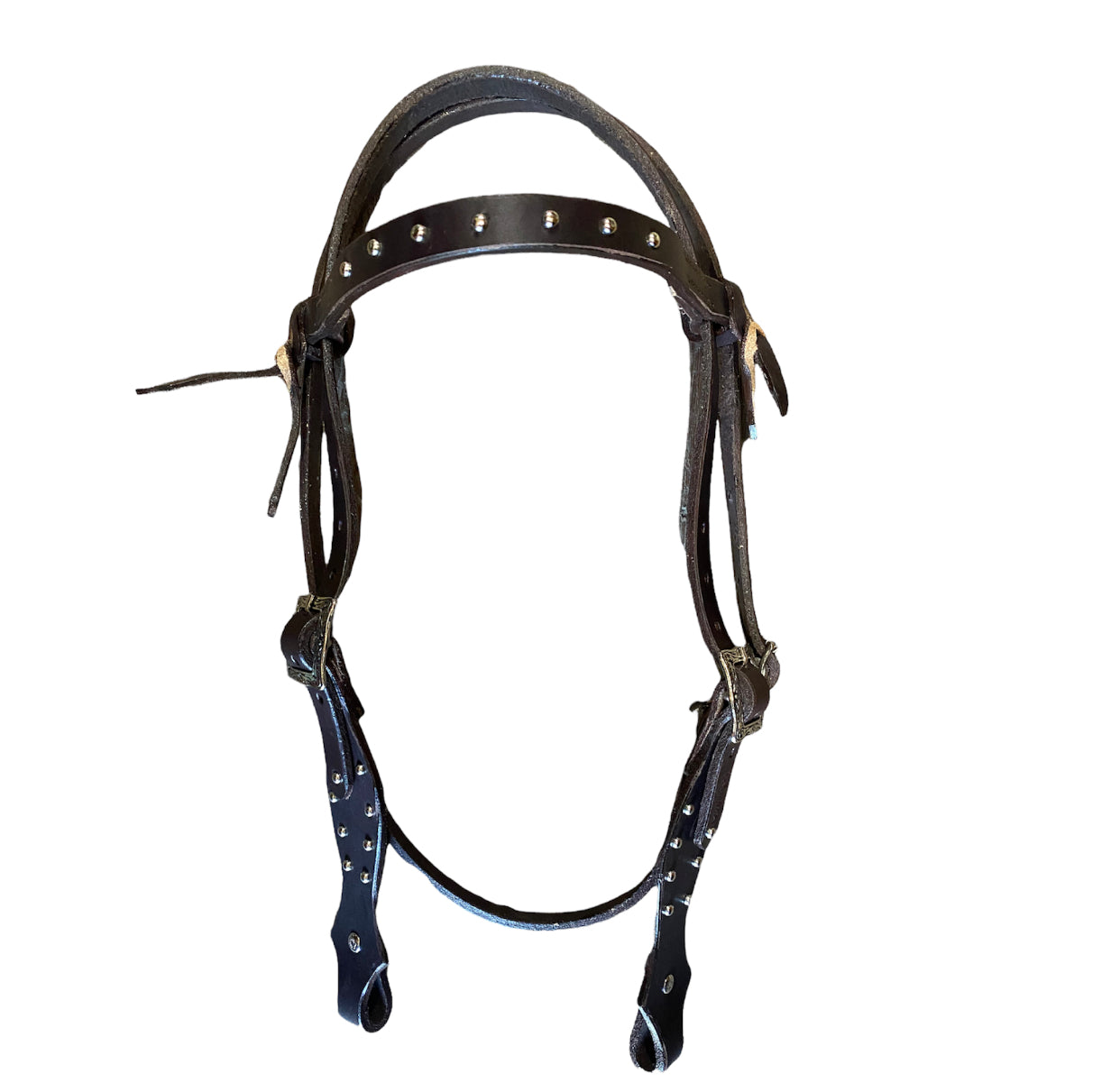 T5475  - Studded Leather Bridle