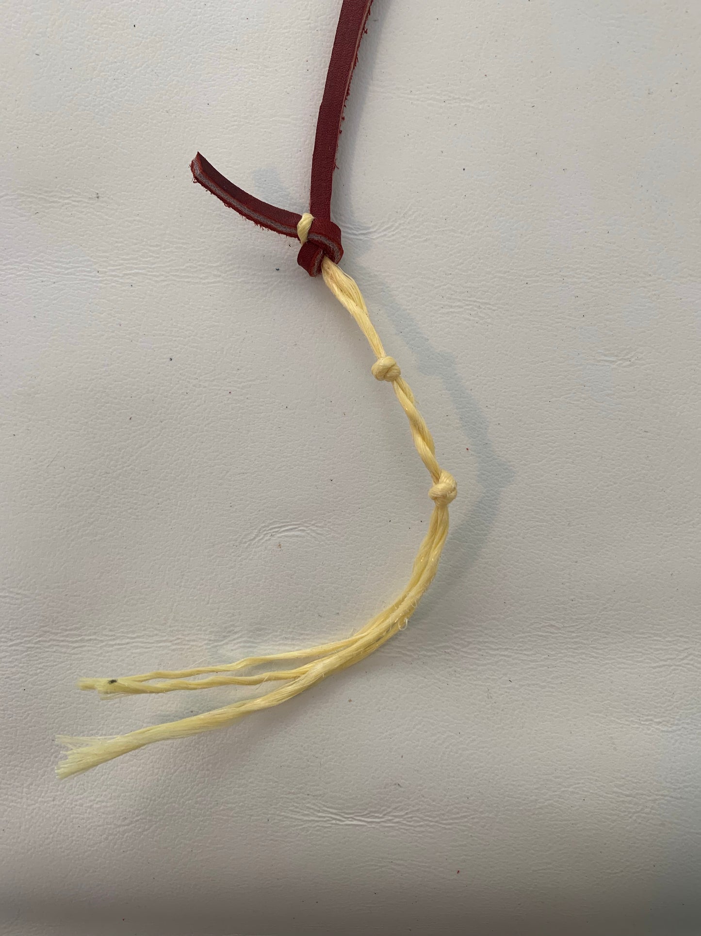 T5201 - Aust Made Whip Fall & Cracker - Rawhide Western Wear 